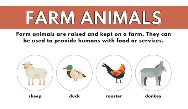6000+ Printable Learning Sheets for Kids for ages between 2 to 7 - Image 14