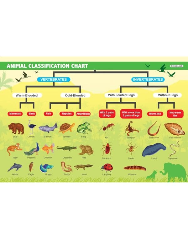 Everyday Wonders: Biology for Kids Age 6+ – Fun Facts and Exciting Activities - Image 3