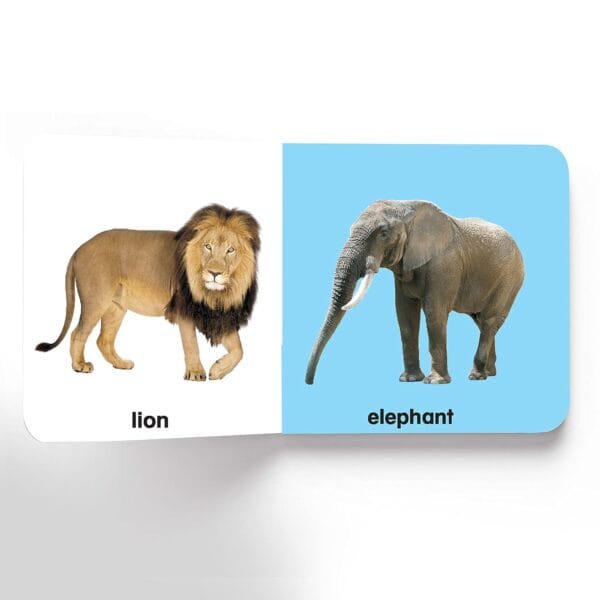 First Padded Board Book - Gift Pack (10 Titles) - Image 10