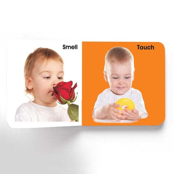 First Padded Board Book - Gift Pack (10 Titles) - Image 8