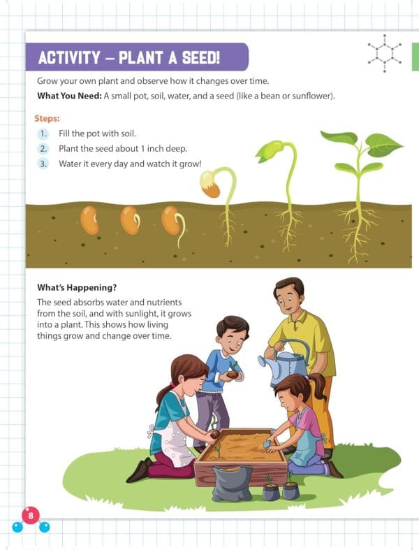Everyday Wonders: Biology for Kids Age 6+ – Fun Facts and Exciting Activities - Image 4