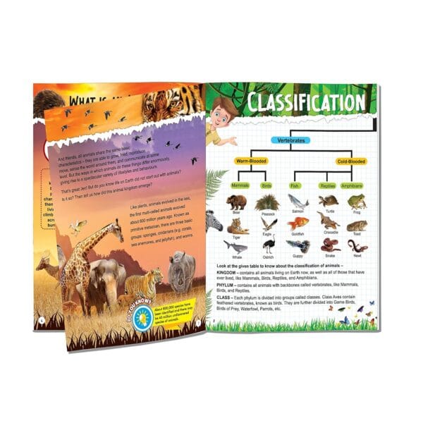 Encyclopedia Books Pack - A Set of 8 Books |Dinosaur World | Space & Universe | Animal Kingdom | Ocean World | Human Body | Science and Technology | Planet Earth | World History - Image 3